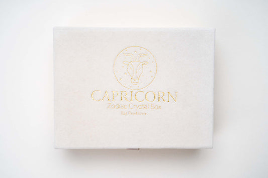 Capricorn Zodiac Fortune Kit