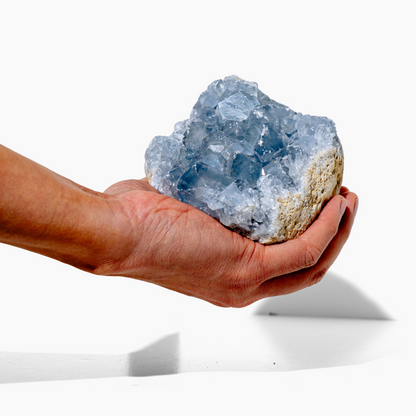 Sal's Energized Blue Celestite Crystal