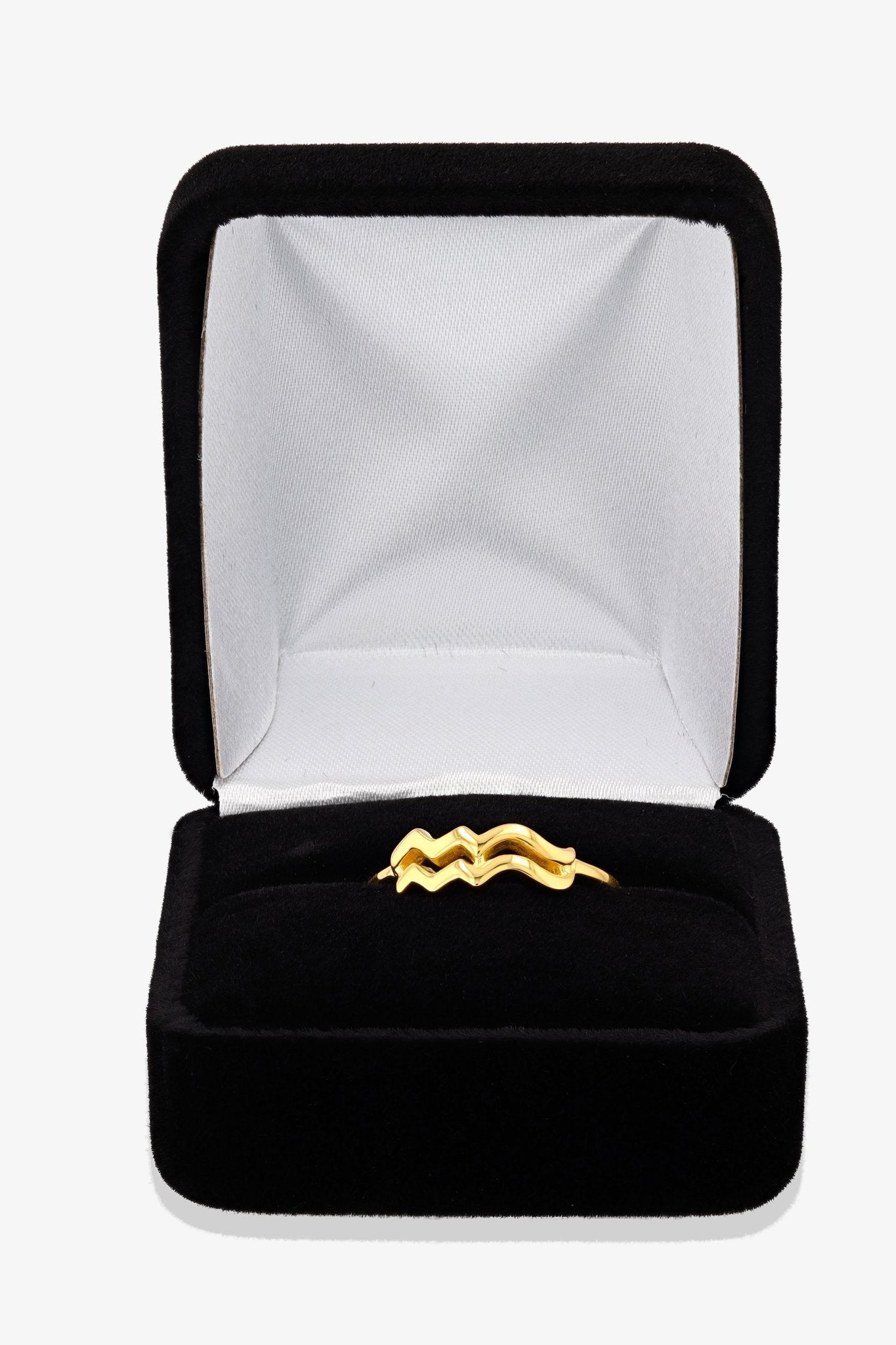 Aquarius Zodiac 18k Gold Vermeil Ring - Eat.Read.Love.