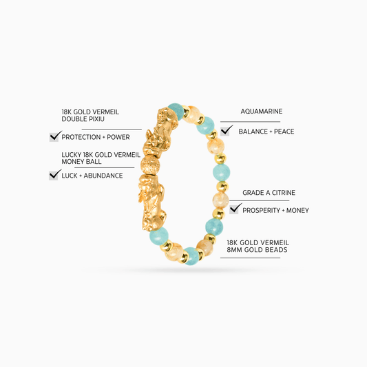 Aquarius Zodiac Feng Shui Double Pixiu Bracelet - Eat.Read.Love.