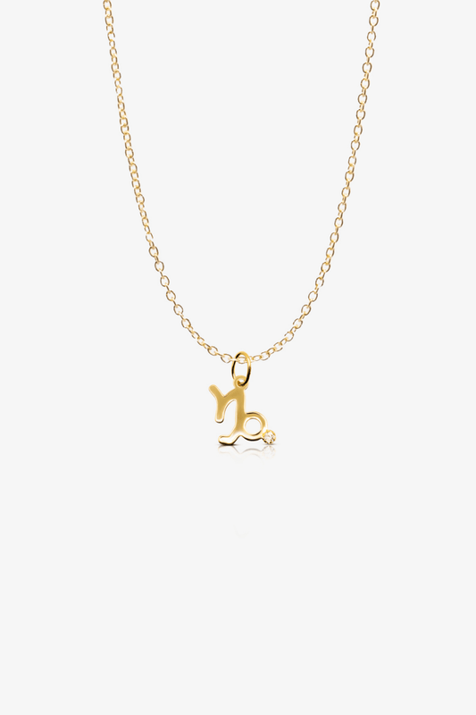 Capricorn 14k Pure Gold Necklace With Diamond - Eat.Read.Love.