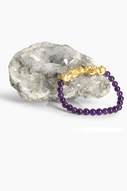 Grade A Amethyst Mega Money 18k Gold Vermeil Pixiu Feng Shui Bracelet - Eat.Read.Love.