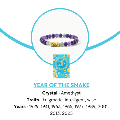 Lucky Fortune Pixiu Amethyst - Year Of The Snake - Eat.Read.Love.