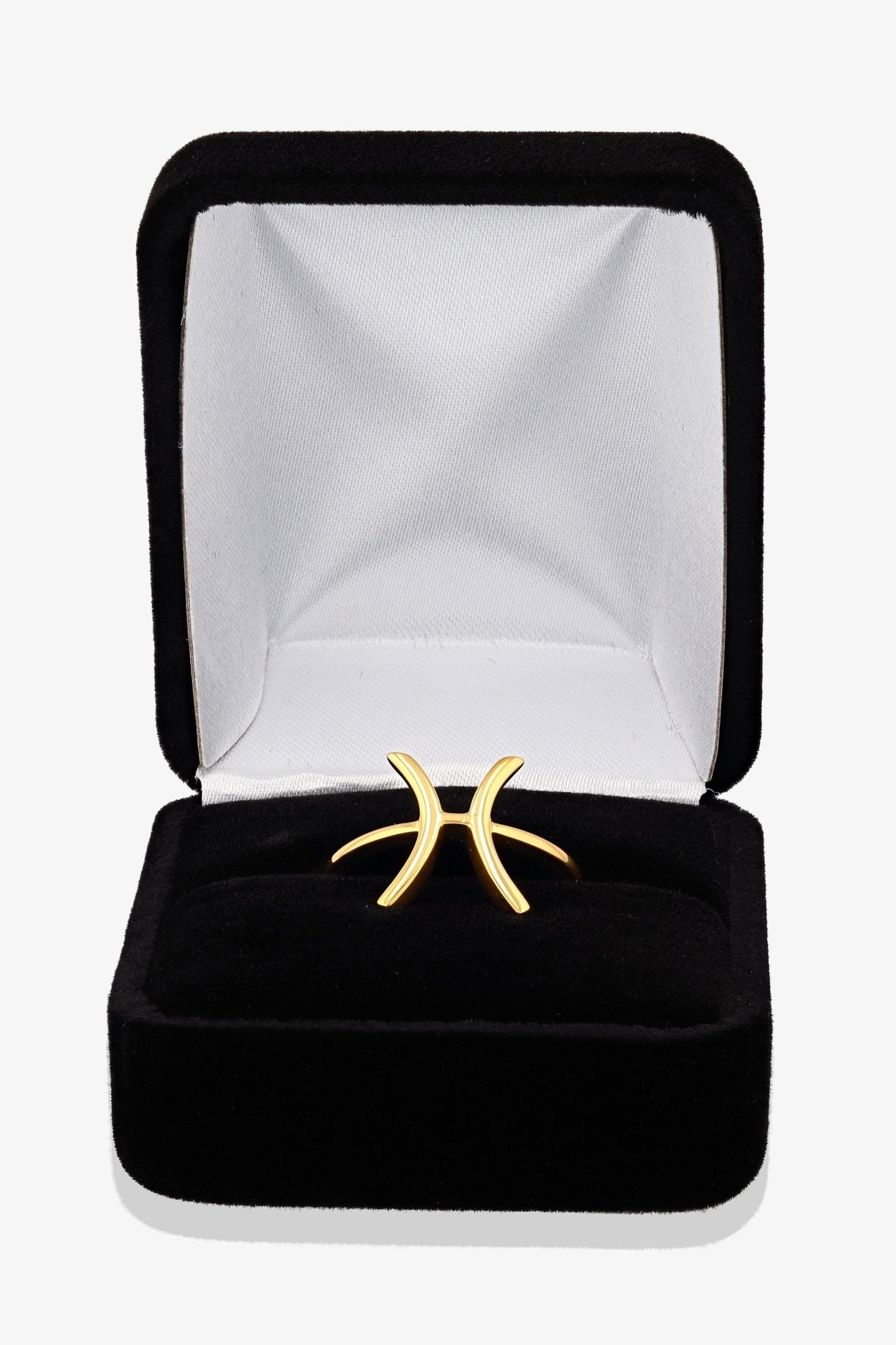 Pisces Zodiac 18k Gold Vermeil Ring - Eat.Read.Love.