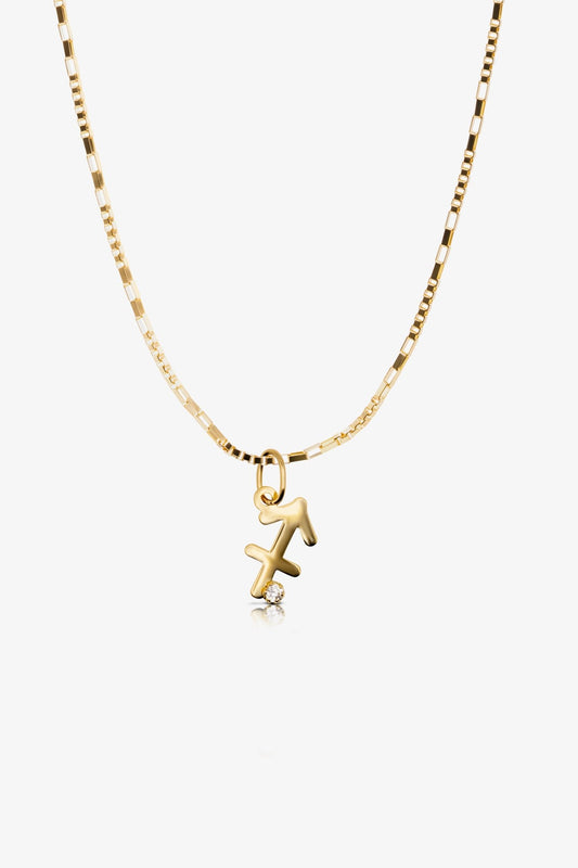 Sagittarius Lucky Charm Amulet - Eat.Read.Love.