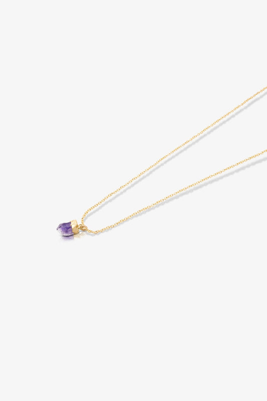 The Aquarius' Aurora Amethyst Birthstone with 14K Gold Necklace - Eat.Read.Love.