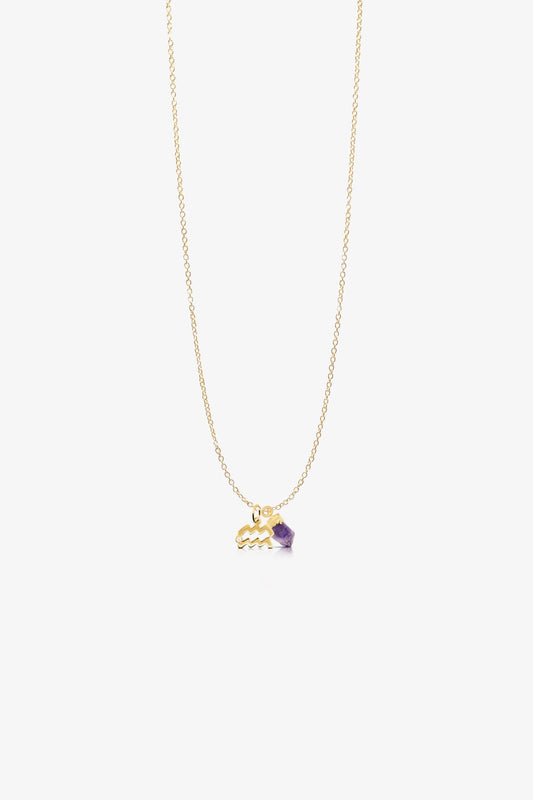 The Aquarius' Aurora Amethyst Birthstone with 14K Gold Necklace - Eat.Read.Love.