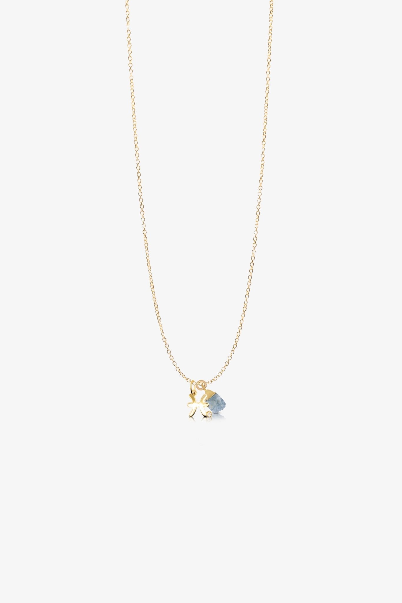 The Pisces' Angelic Aquamarine Birthstone With 14k Gold Necklace - Eat.Read.Love.