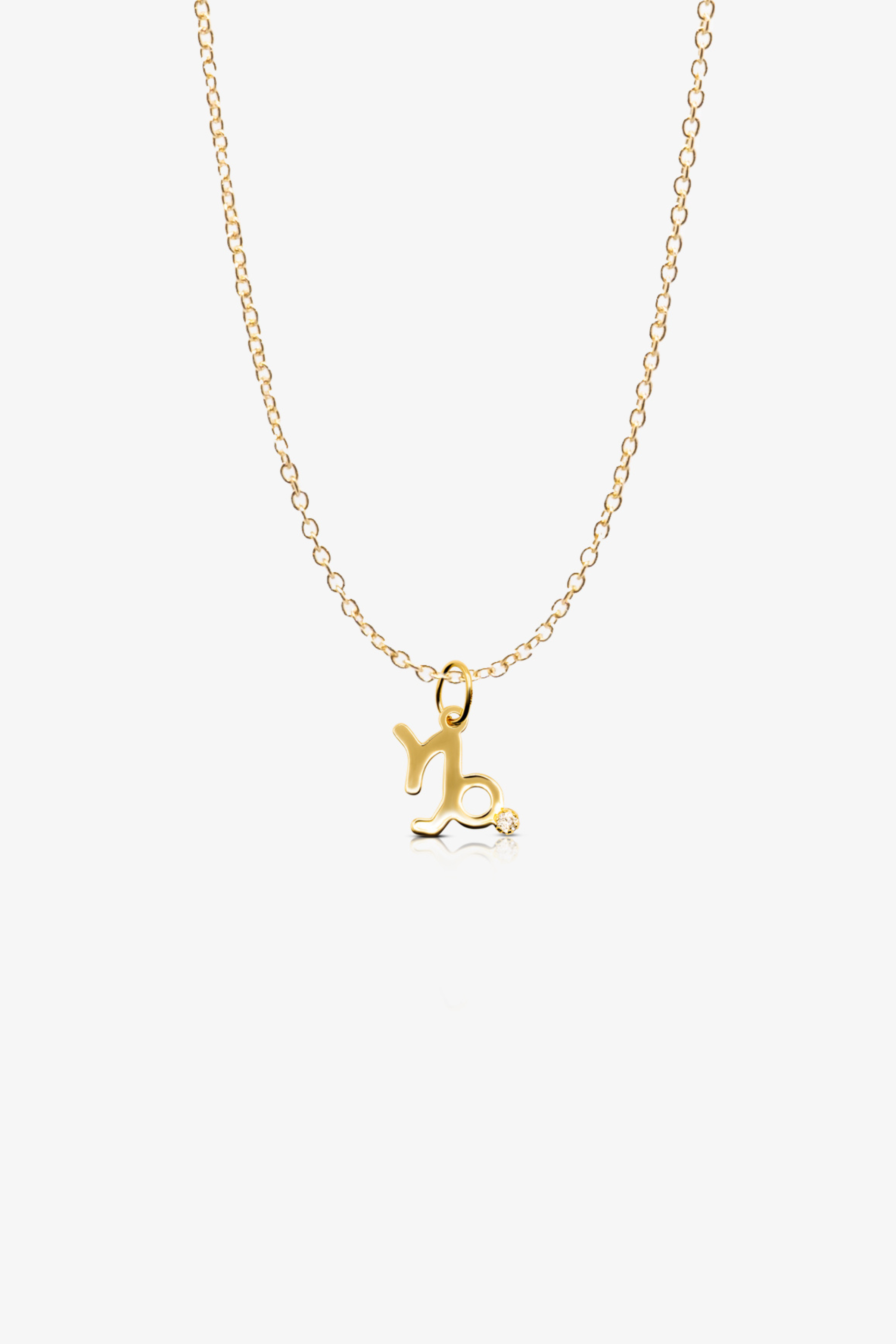 Capricorn 14k Pure Gold Necklace With Diamond