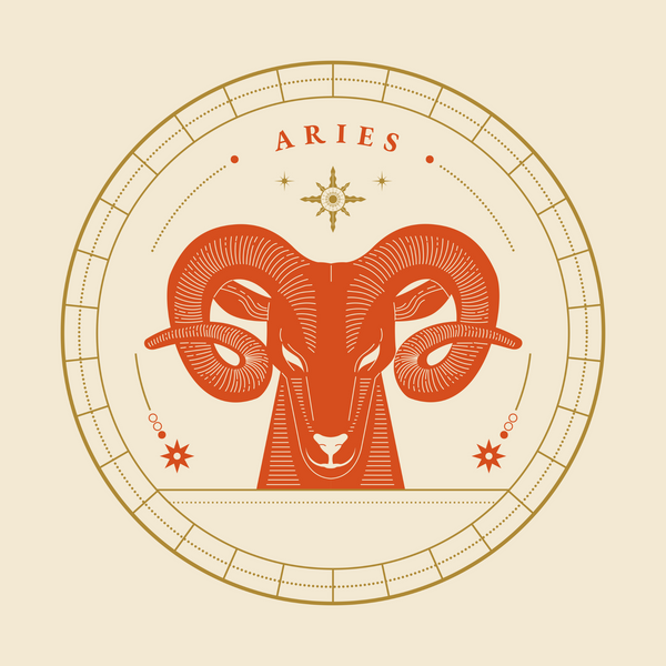 Aries | Looking Forward To This Wonderful Relationship | September Tarot Reading