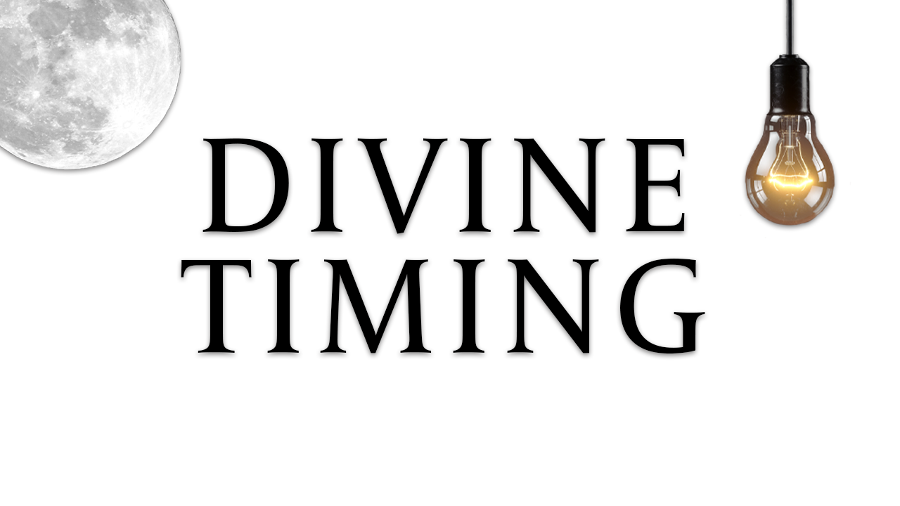 DIVINE TIMING | THE PERSON YOU WANT IS BACK | TAROT READING.