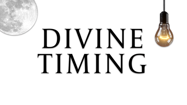 DIVINE TIMING - I WANT A REASON TO GIVE UP.