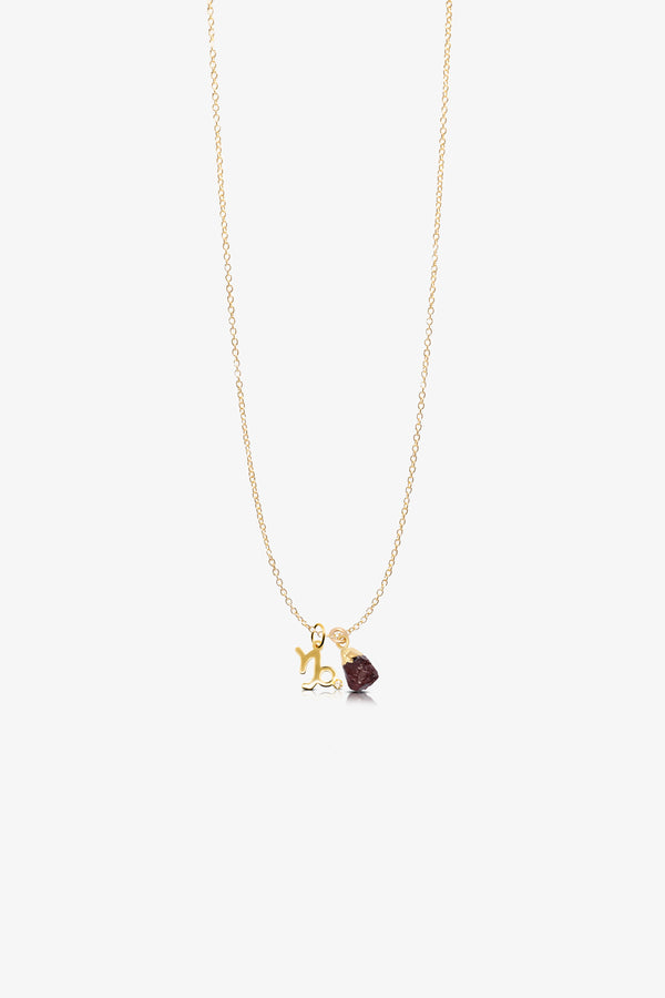 The Capricorn's Graceful Garnet Birthstone Charm with 14K Gold Necklace